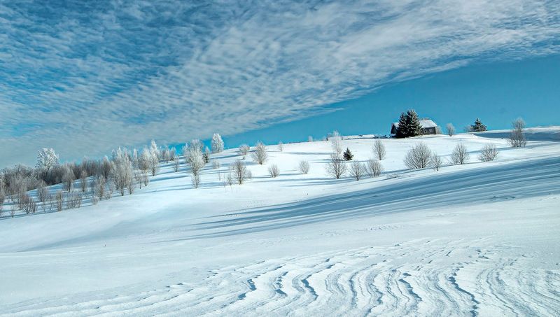 Фактура Весны фото превью