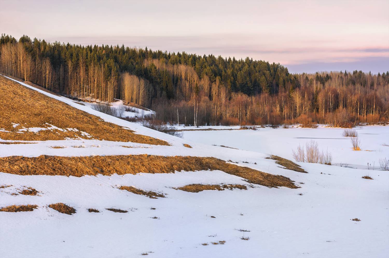 весна апрель снег мороз лес деревья река берег проталины горка, Вера Ра
