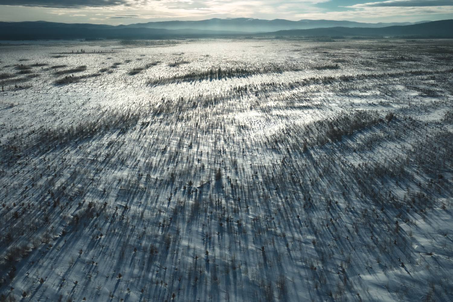 , Денис Лубсанов