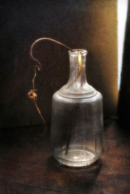 Объятия весеннего света фото превью