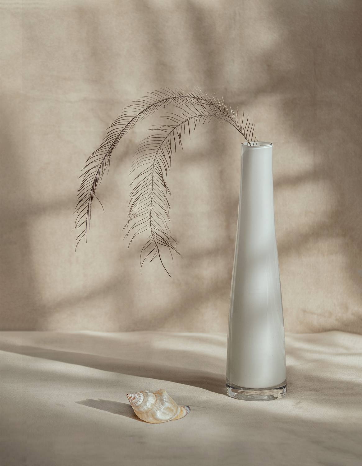 , Хаева Марина