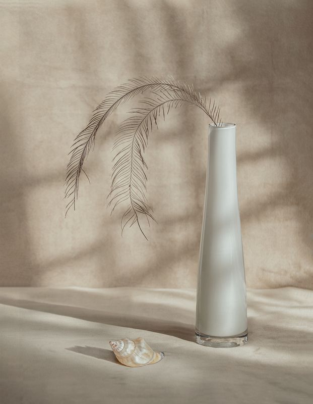 Свет фото превью