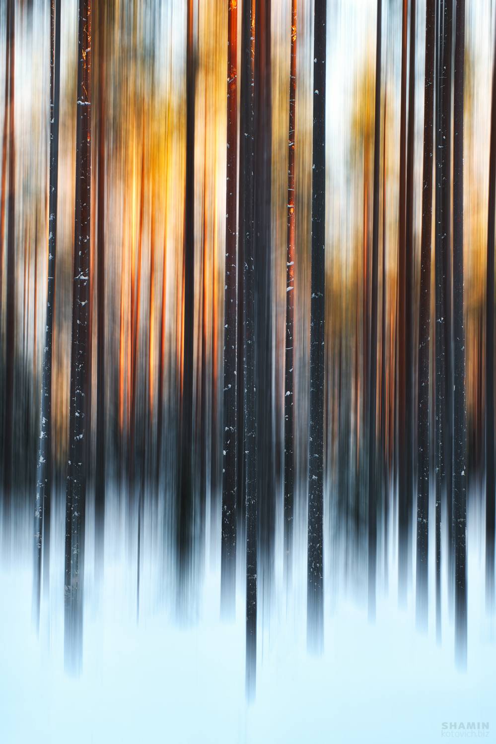 , Константин Шамин