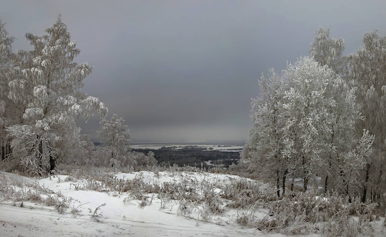 , Алексей Хахлов