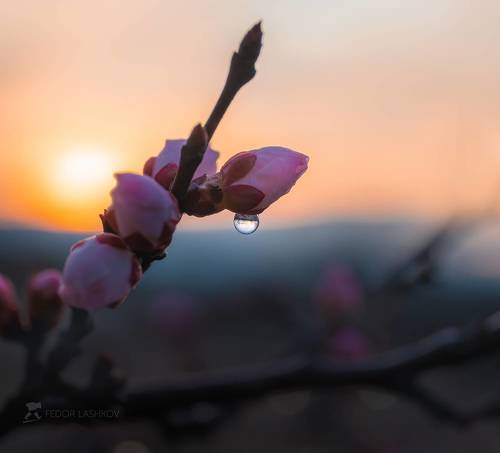 Надежда на Новую Жизнь!