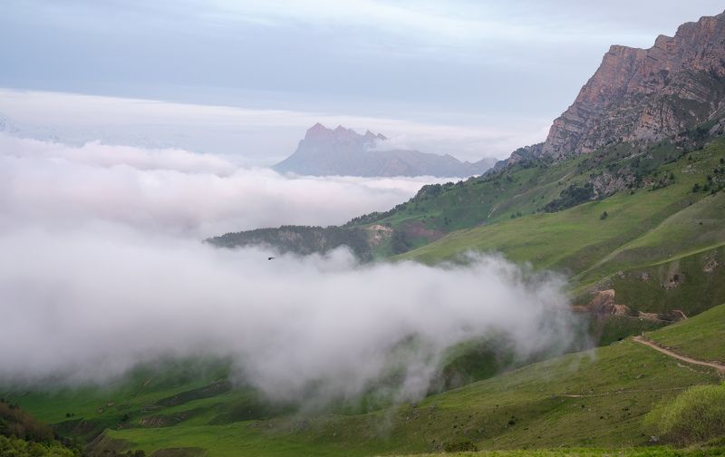 ингушетия, эрзи, горы, облака Утро в облаках... / Morning in the clouds... фото превью