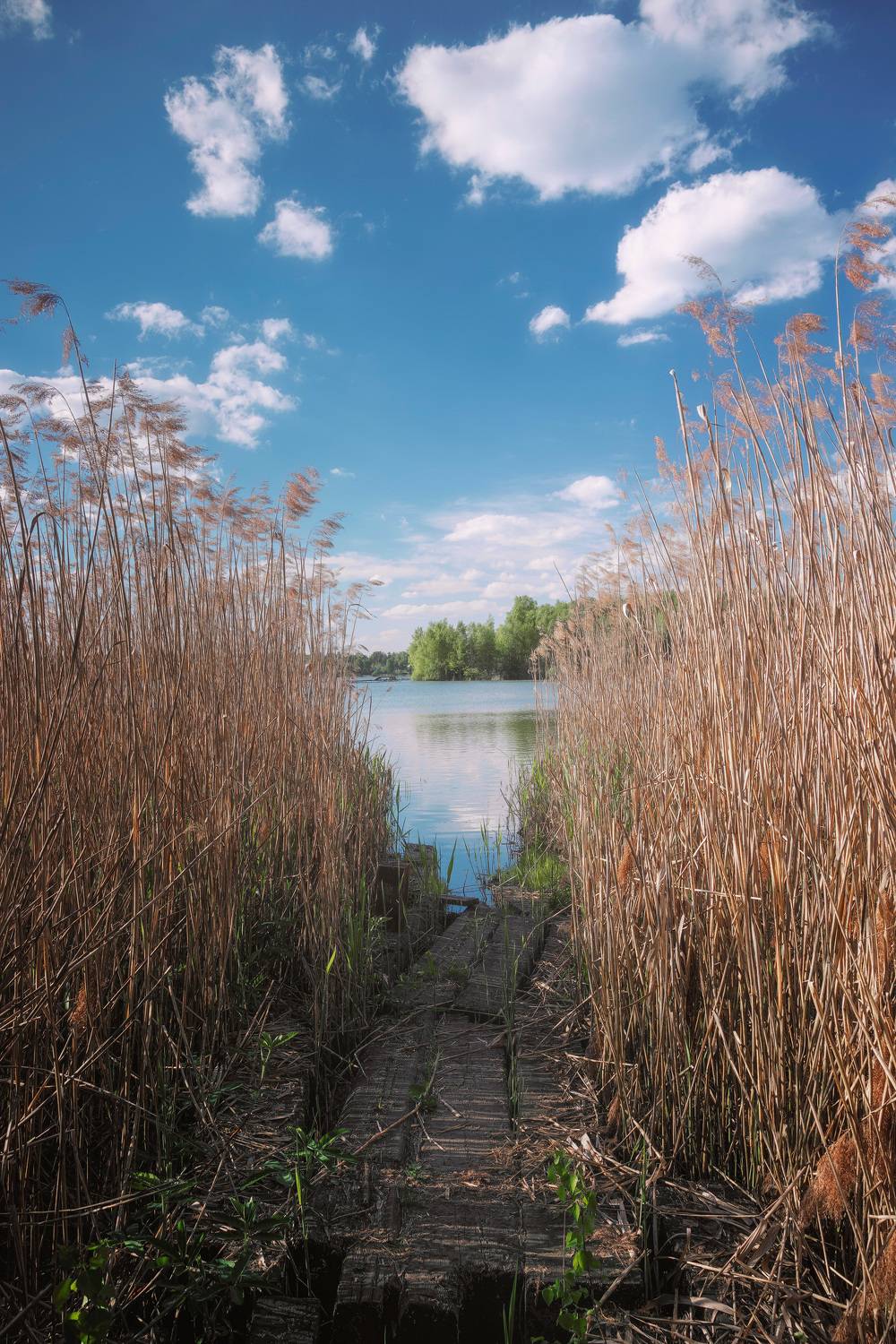 озеро, небо, Валерий Вождаев