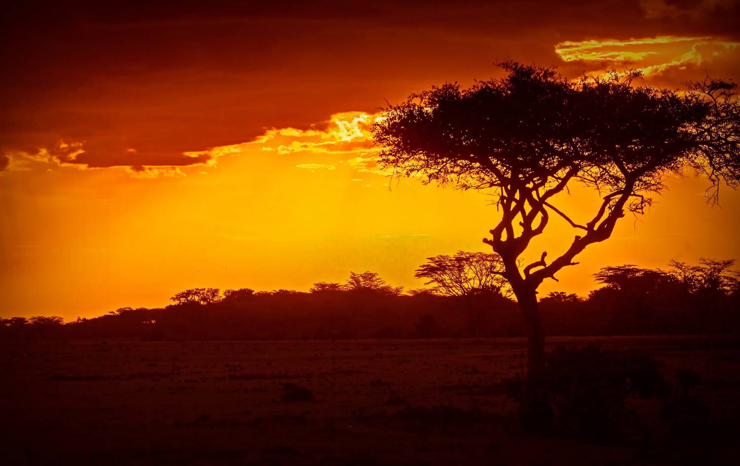 Кения, Lilia Tkachenko