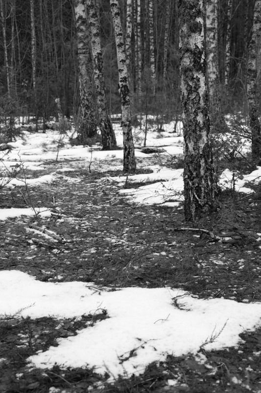 Весенние деньки фото превью