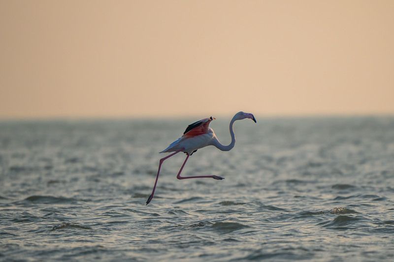 take off фото превью