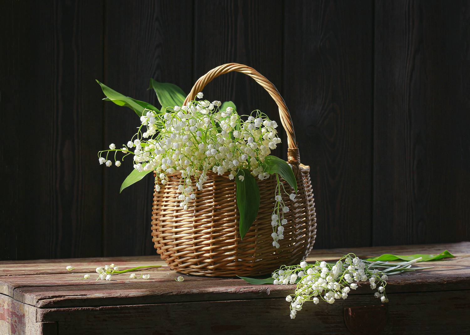 натюрморт, фотонатюрморт, still life, stillifefoto, художественное фото, фотохудожник, наталья казанцева, весна, ландыши, цветы, цветочный натюрморт,, Наталья Казанцева