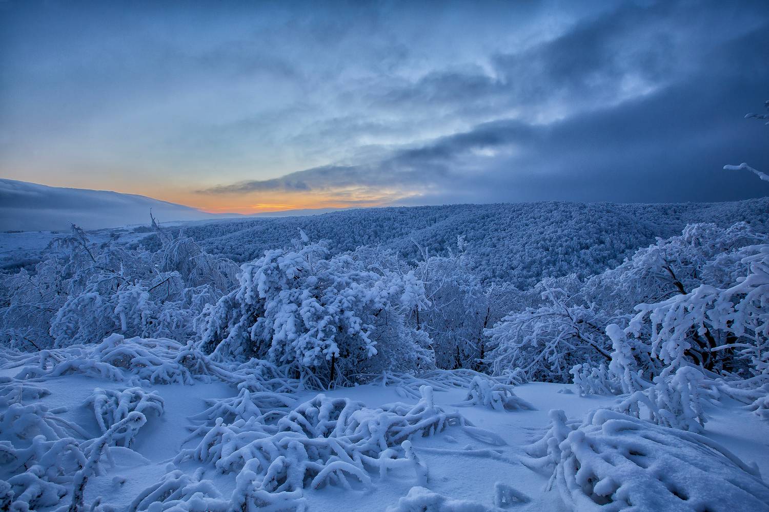 зима, кумысная поляна, саратов, зимний лес, Подосинников Максим