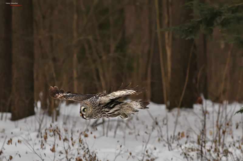 Финишная прямая фото превью