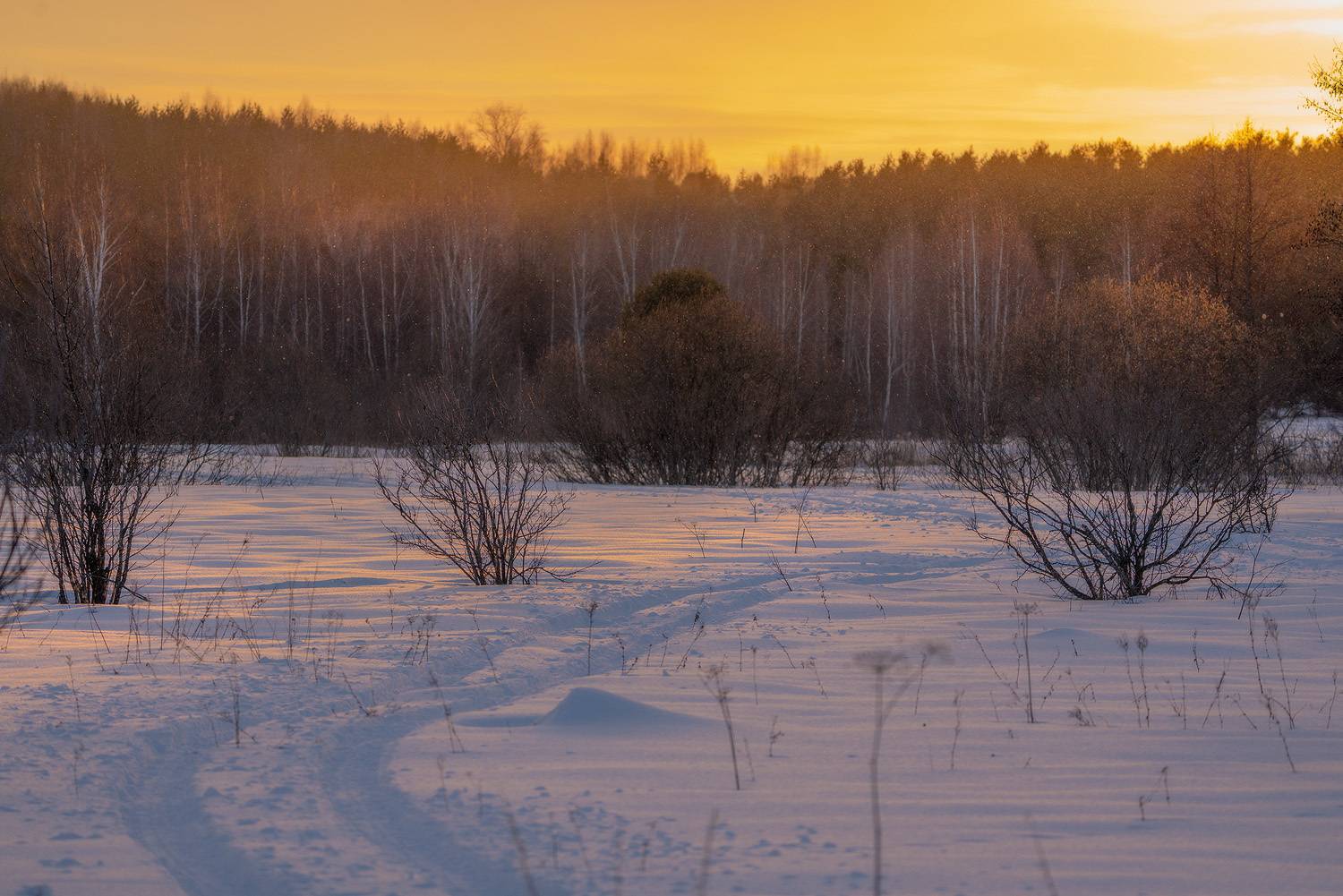 , Тябин Владислав