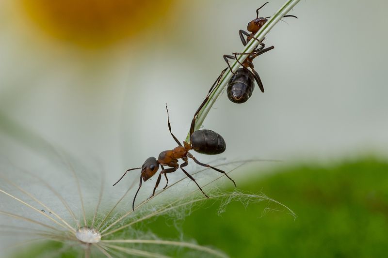 Путь к воде фото превью