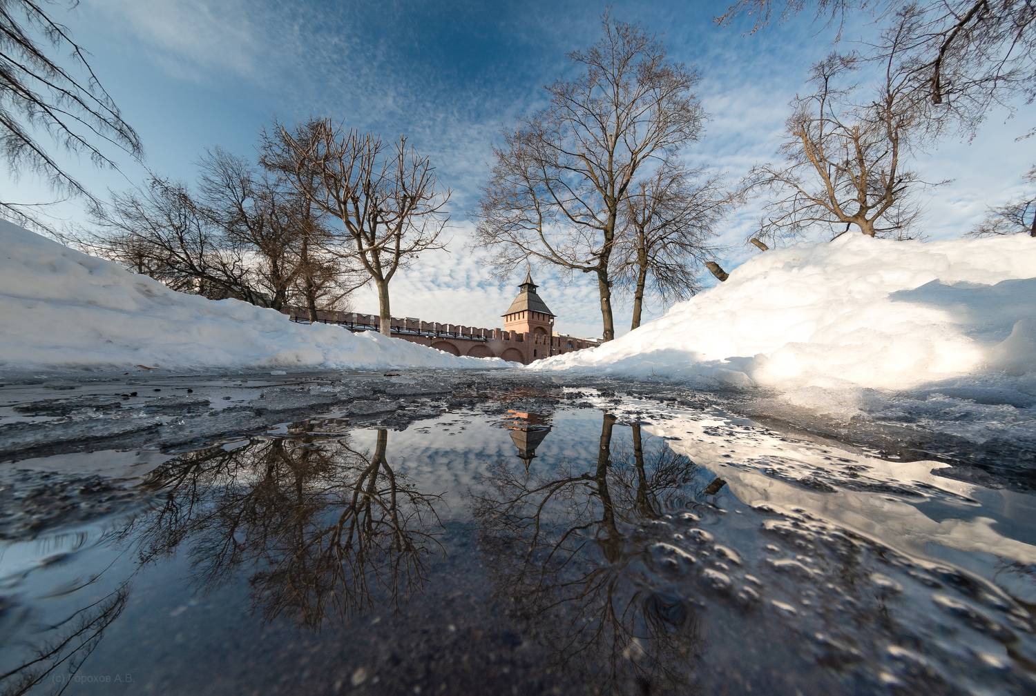 , Алексей Горохов
