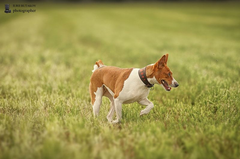 Дуся фото превью