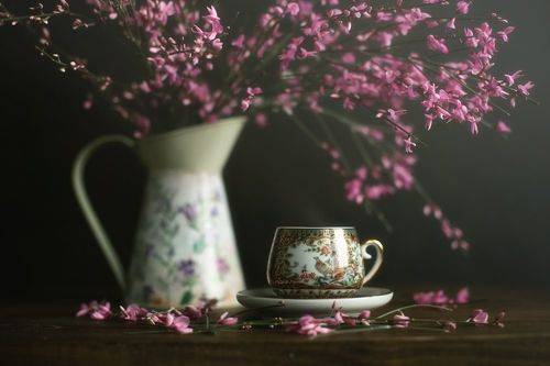 Весенний мотив..