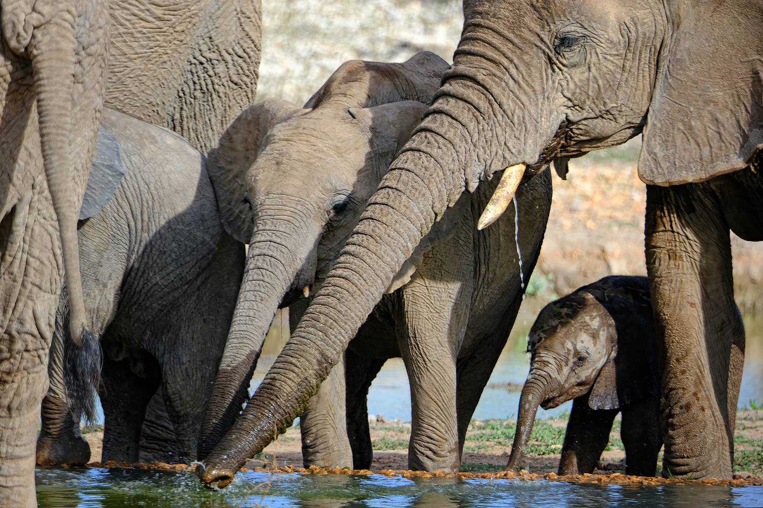 , Худзинская Ирина