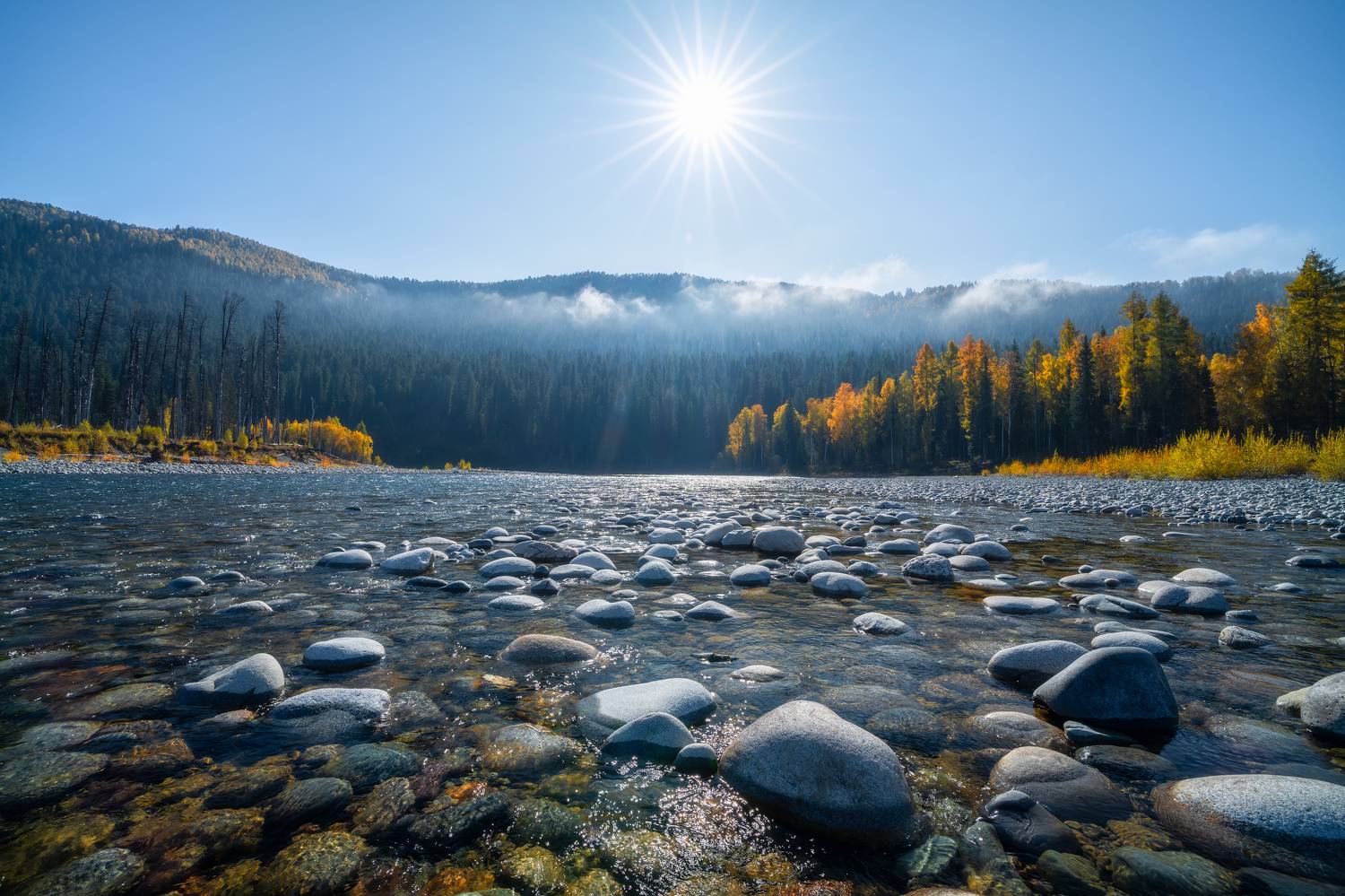 , Nikitin Alexander