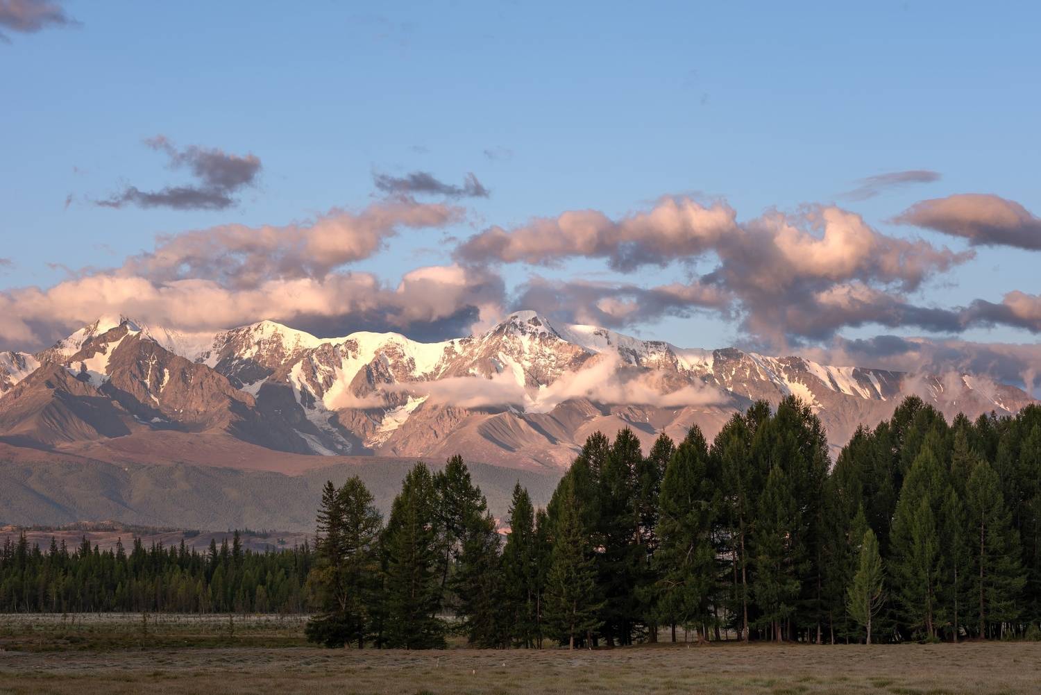 , Ватрушкин Максим