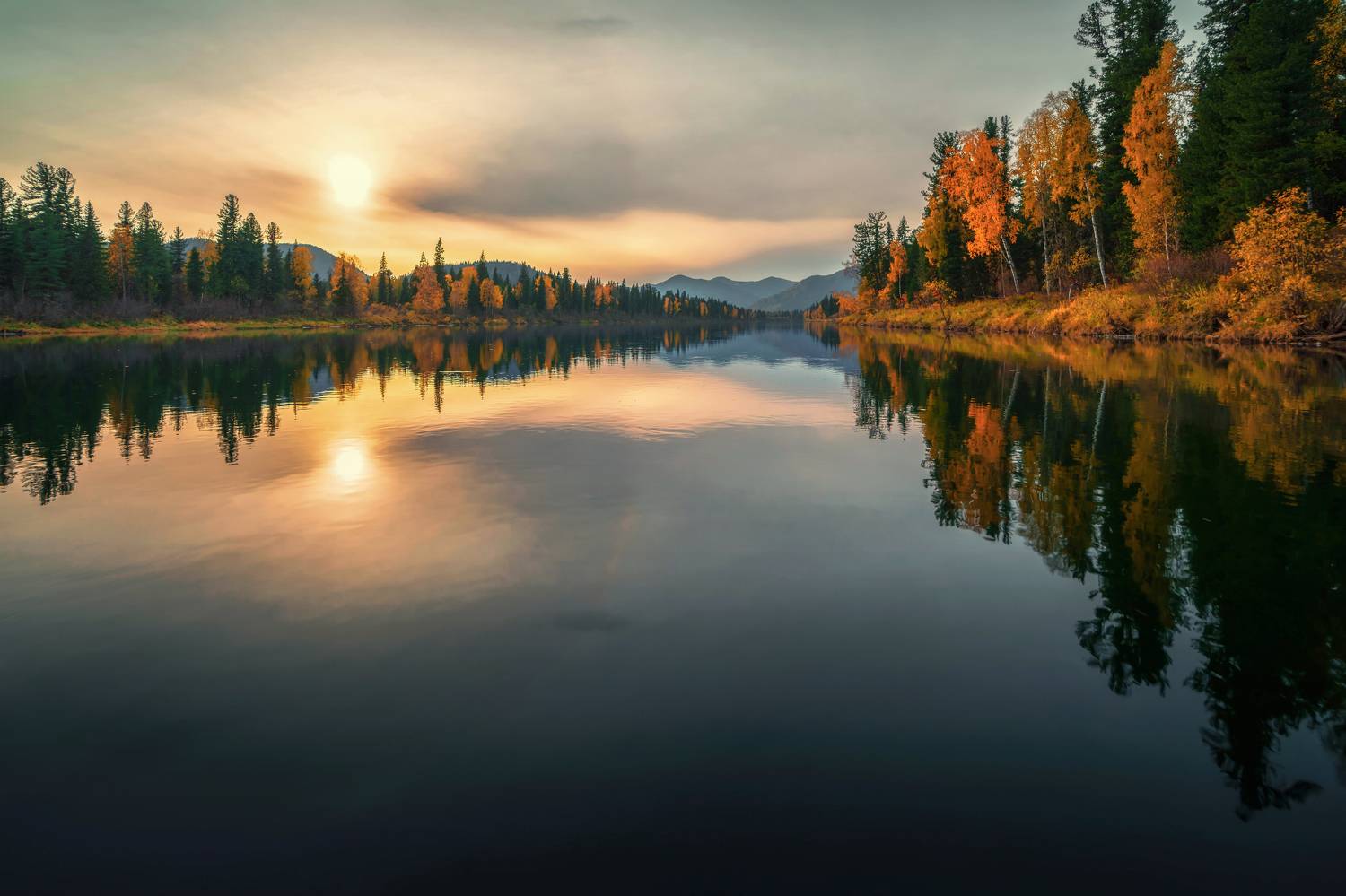 , Nikitin Alexander