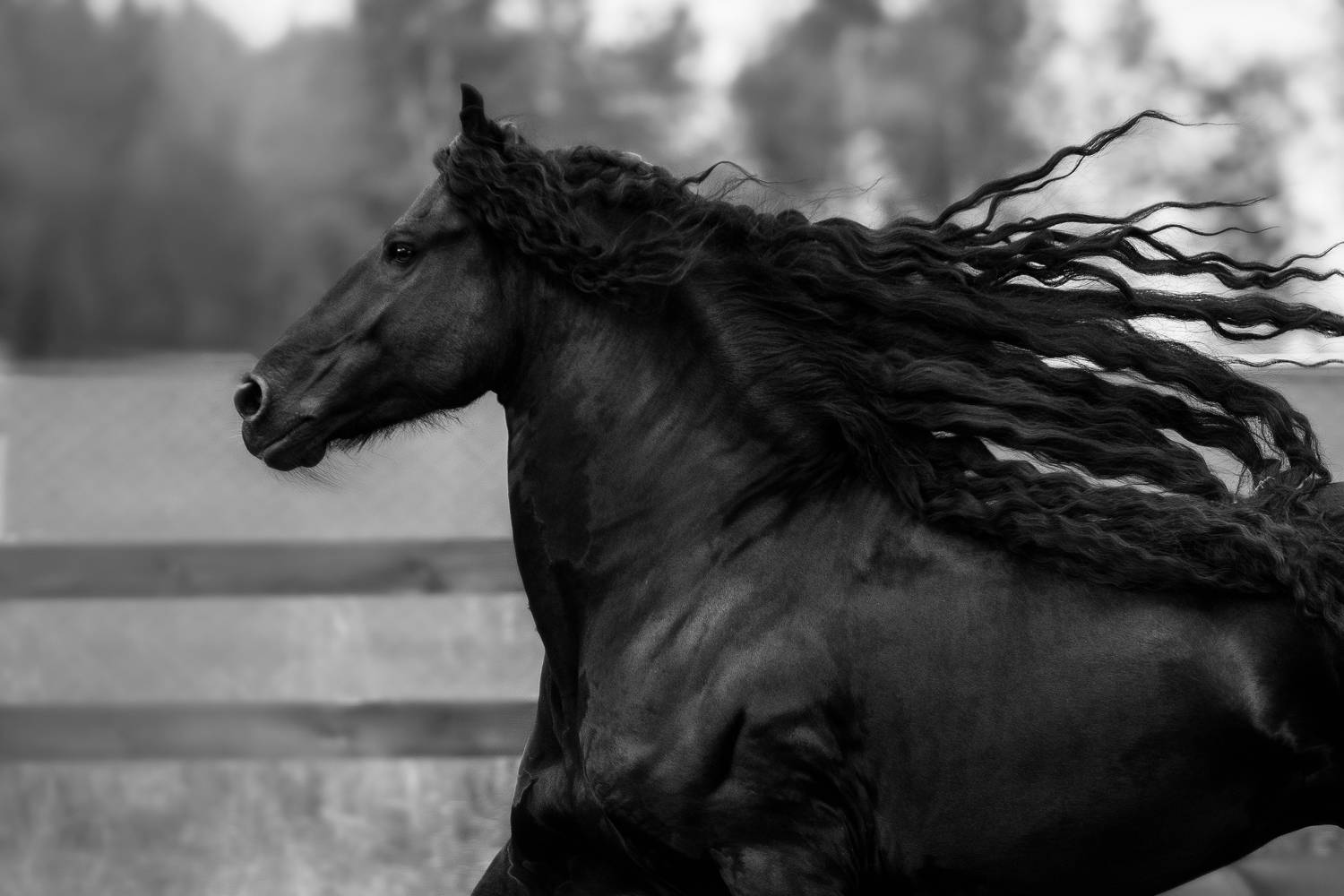 , Олеся Евгеньевна