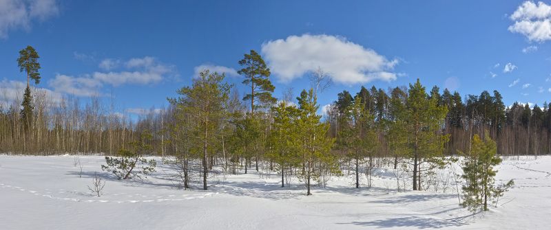 Весна света фото превью