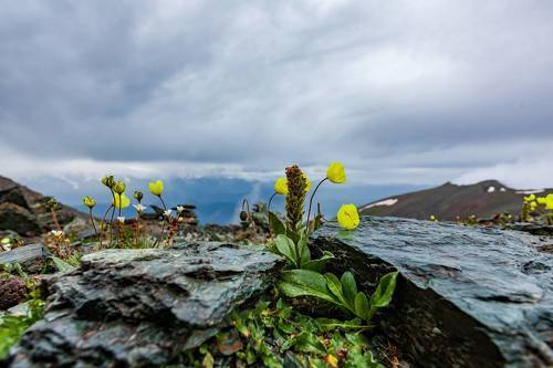 3000 над уровнем.