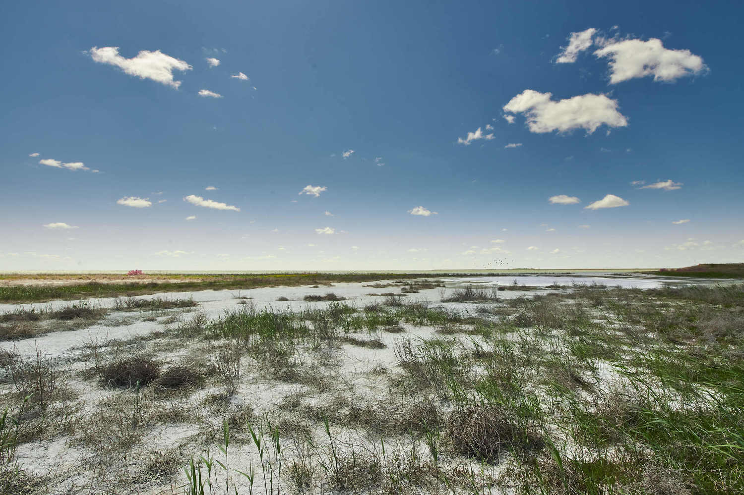 , Павел Сторчилов