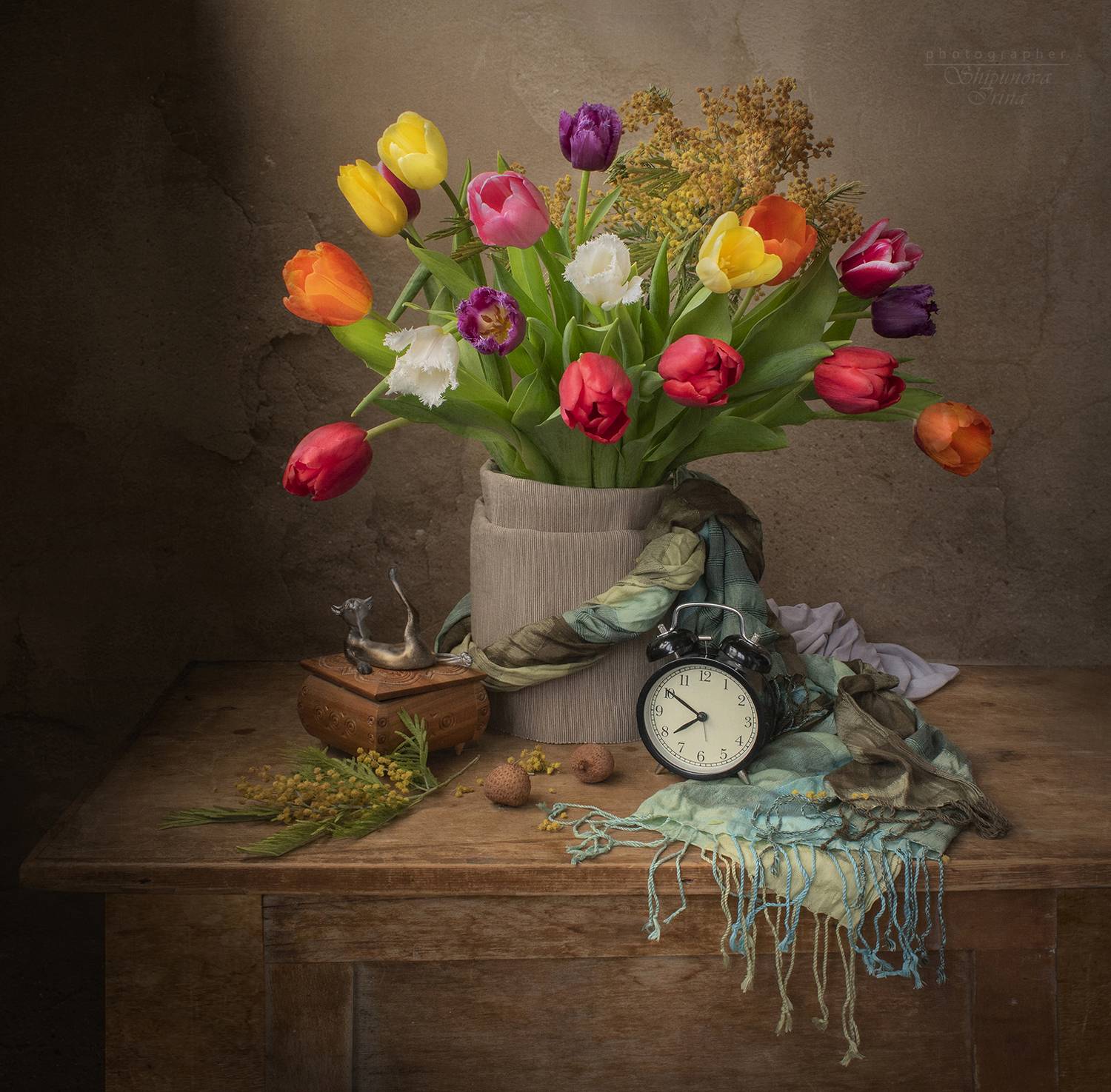 , Ирина Шипунова