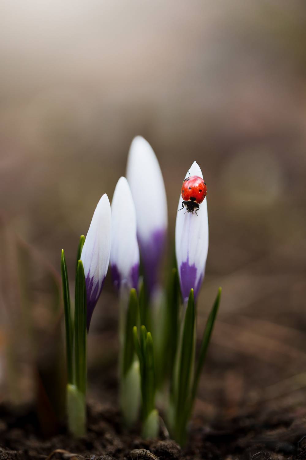, Александра Юсупова