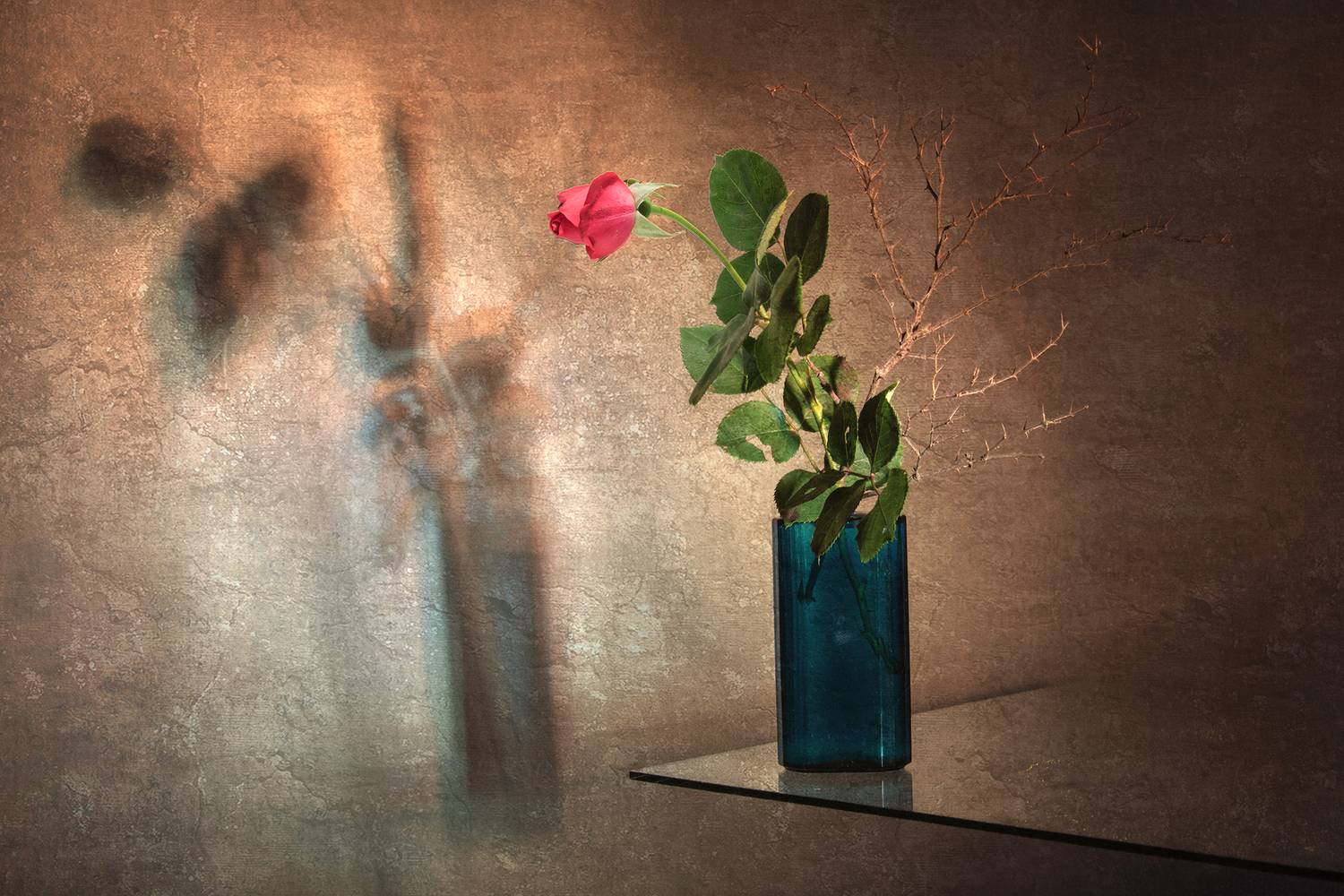 color, colors, color image, digital, editing, flower, green, photograph, photography, red, rose, still life,, Dr Didi Baev