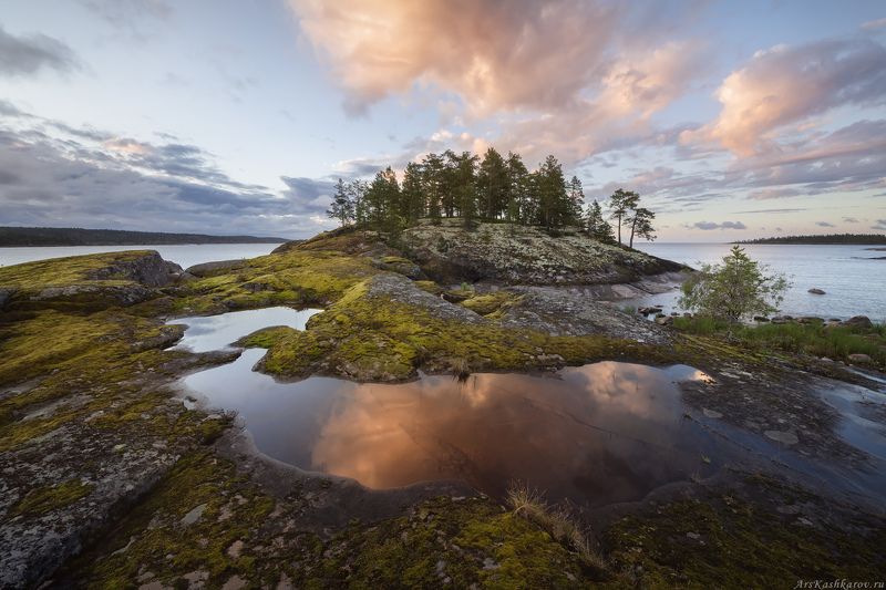 ладога, ладожские шхеры, карелия, северное приладожье, скалистые острова, сосны \