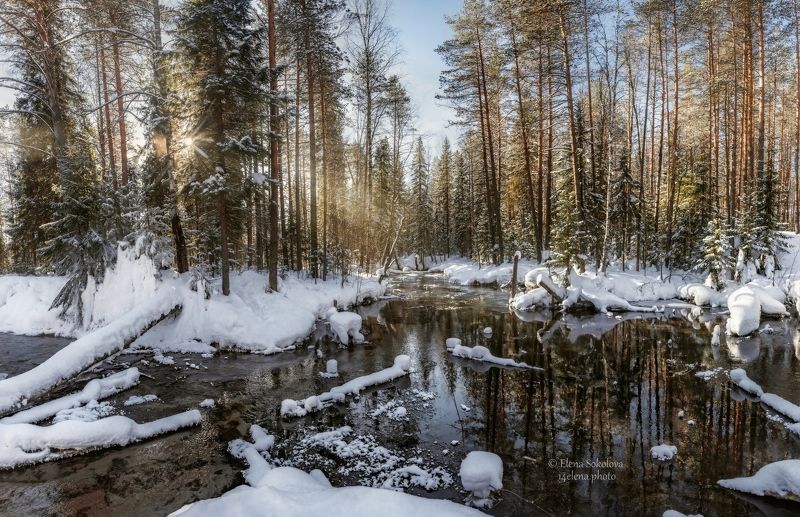 река, талица, природа, вода, отражение, снег, сечна, март, лес, тайга, пермский край, жуланово Река Талица фото превью