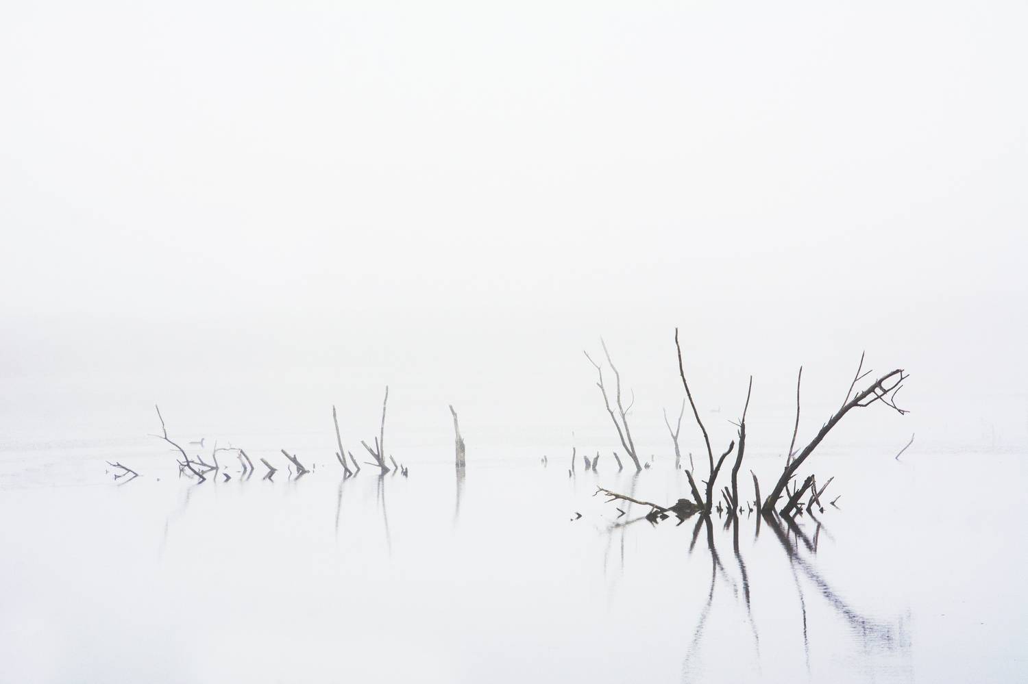 , Волоцков Александр