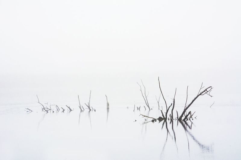 У пруда фото превью