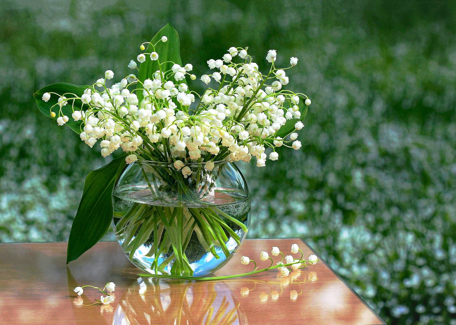 натюрморт, фотонатюрморт, still life, stillifefoto, художественное фото, фотохудожник, наталья казанцева, весна, ландыши, букет, цветочный натюрморт, Наталья Казанцева