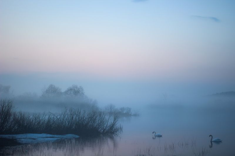 ******** фото превью