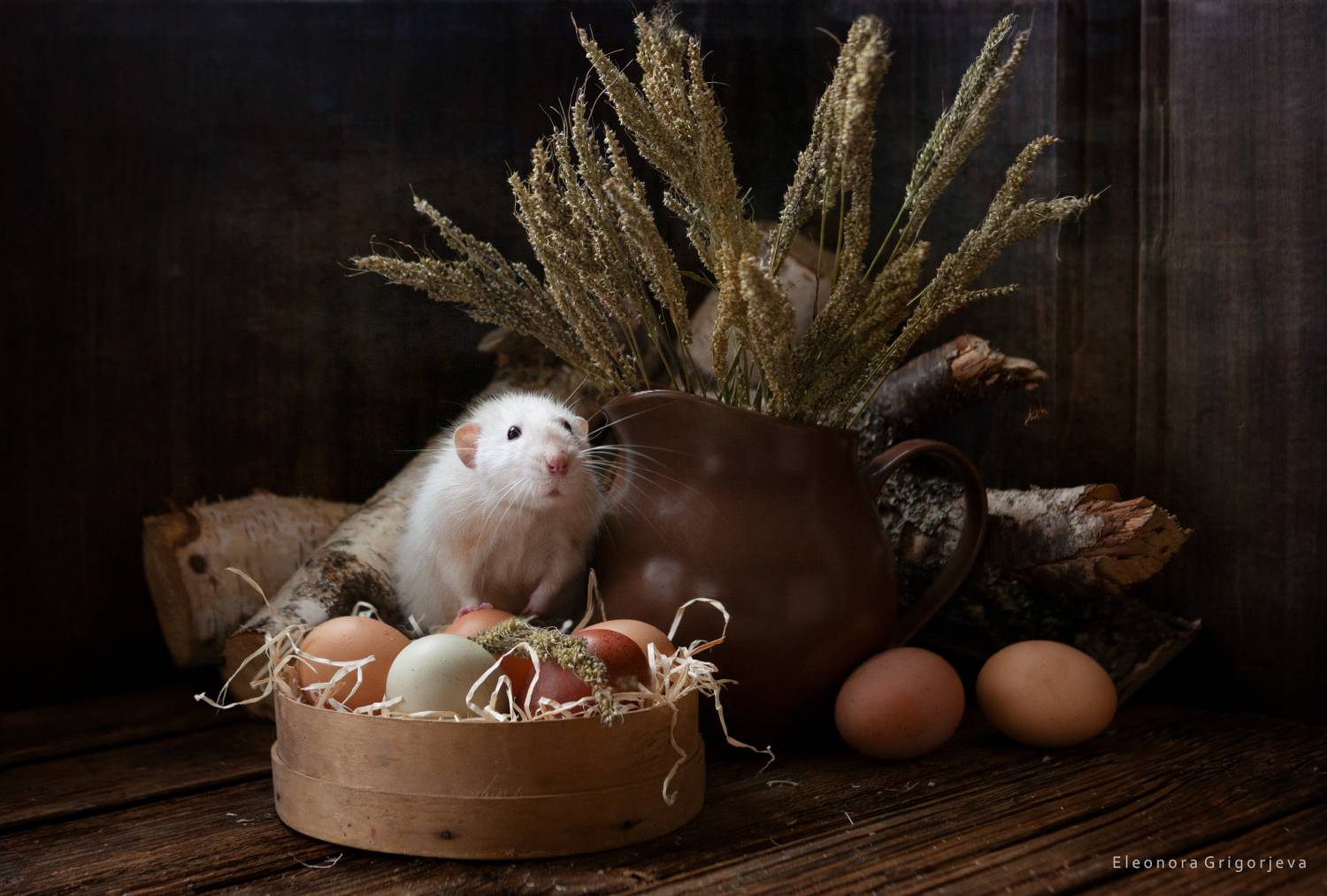 , Eleonora Grigorjeva