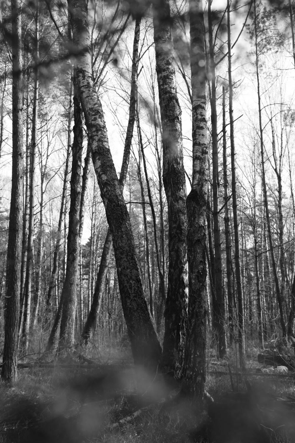 , Колосова Елена