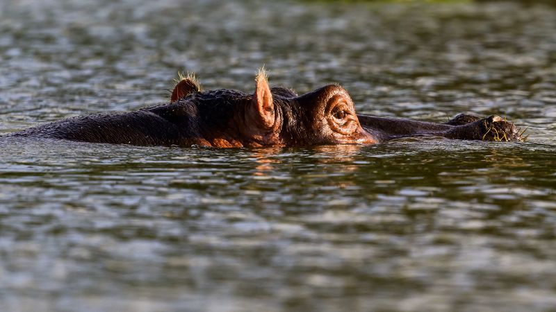 Закат фото превью