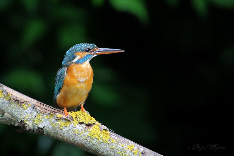 Короткий отдых фото превью