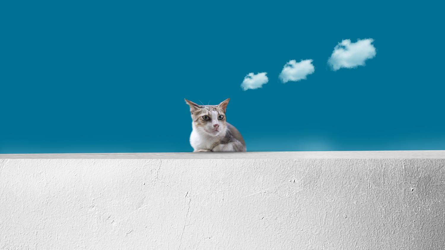 , Alex Yungan Harahap