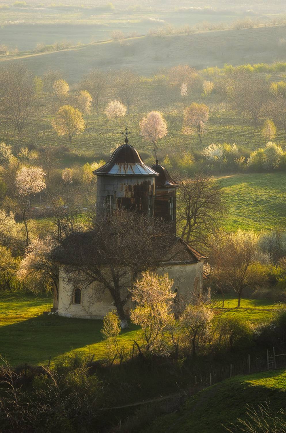 , Stefan Chirobocea