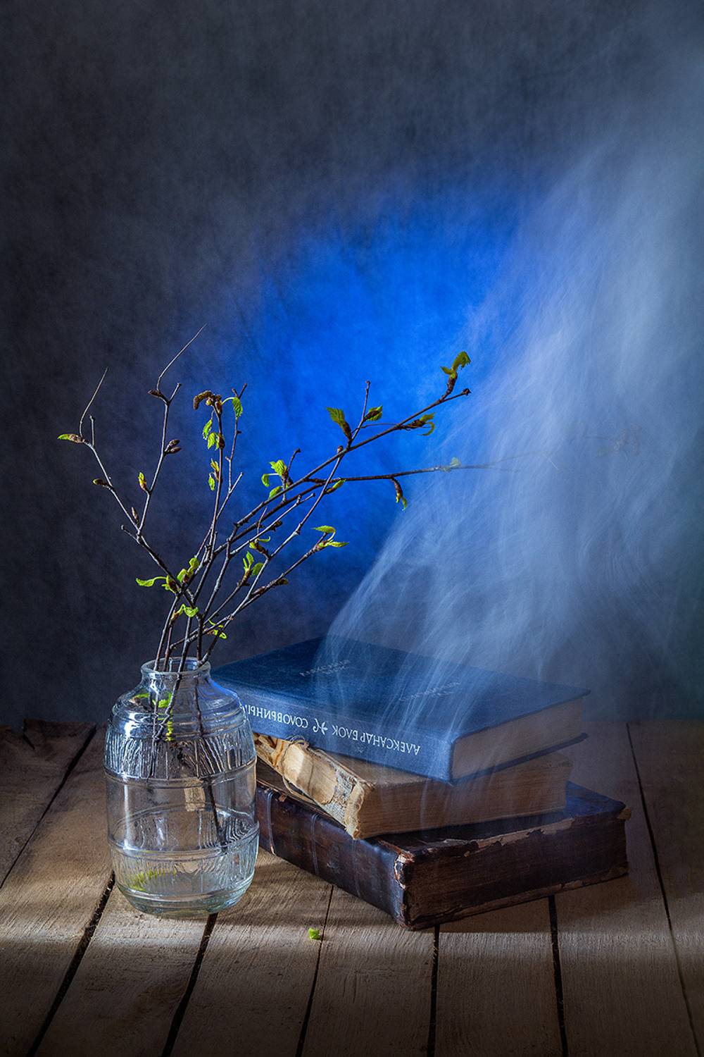 книги, бутылка, зеленые листочки, ветки березы, Баг Алексей