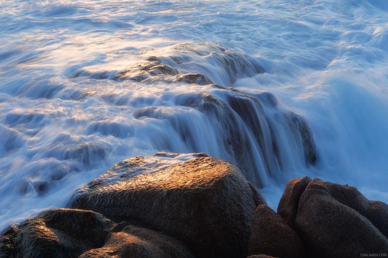 Призрачные крабы фото превью