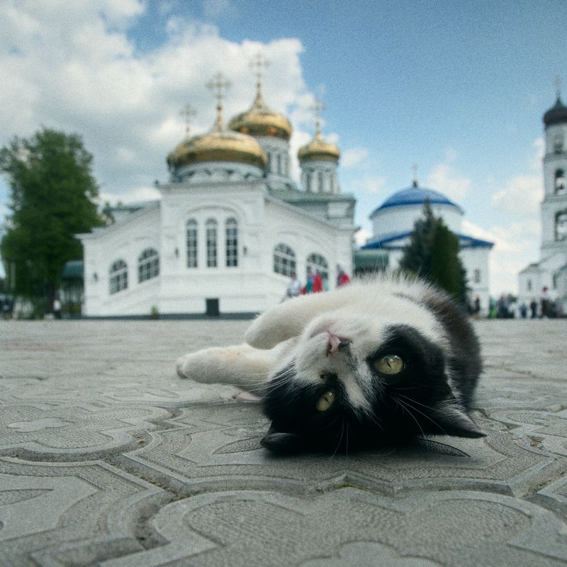 раифа, казань Раифский вымогатель фото превью