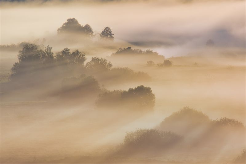 Хороши туманы на рассвете. фото превью