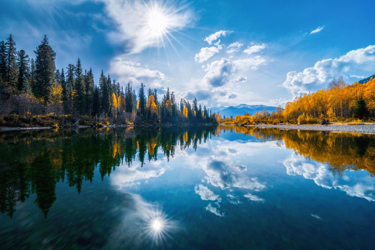 , Nikitin Alexander
